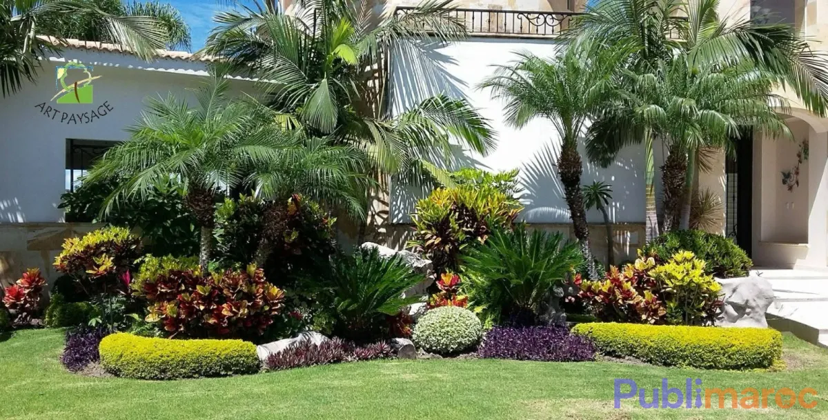 Jardinier Paysagiste Indépendant – Hassan Ait Hda (+20 Ans d'Expérience) photo 2