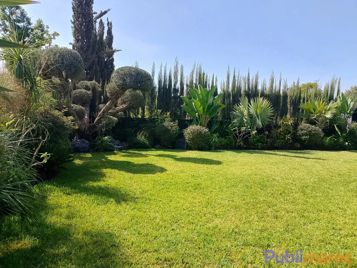 Jardinier Paysagiste Indépendant – Hassan Ait Hda (+20 Ans d'Expérience) photo 6