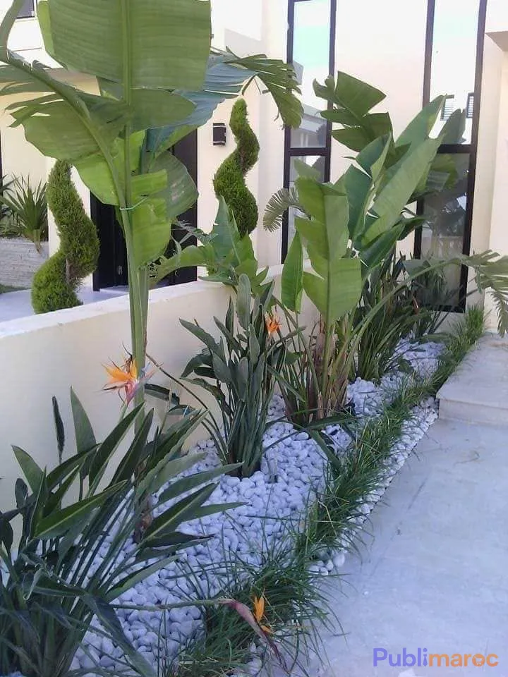 Jardinier Paysagiste Indépendant – Hassan Ait Hda (+20 Ans d'Expérience) photo 7