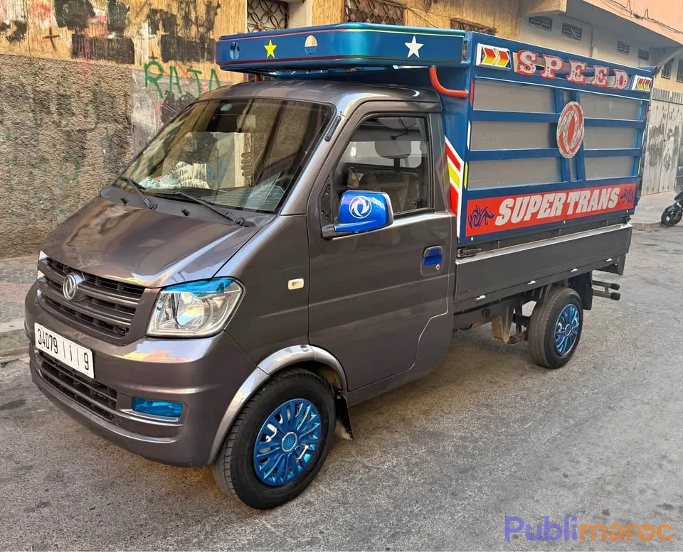 VENTE – Camionnette DFSK Pick-up (Modèle 2021) – Peinture d'Origine